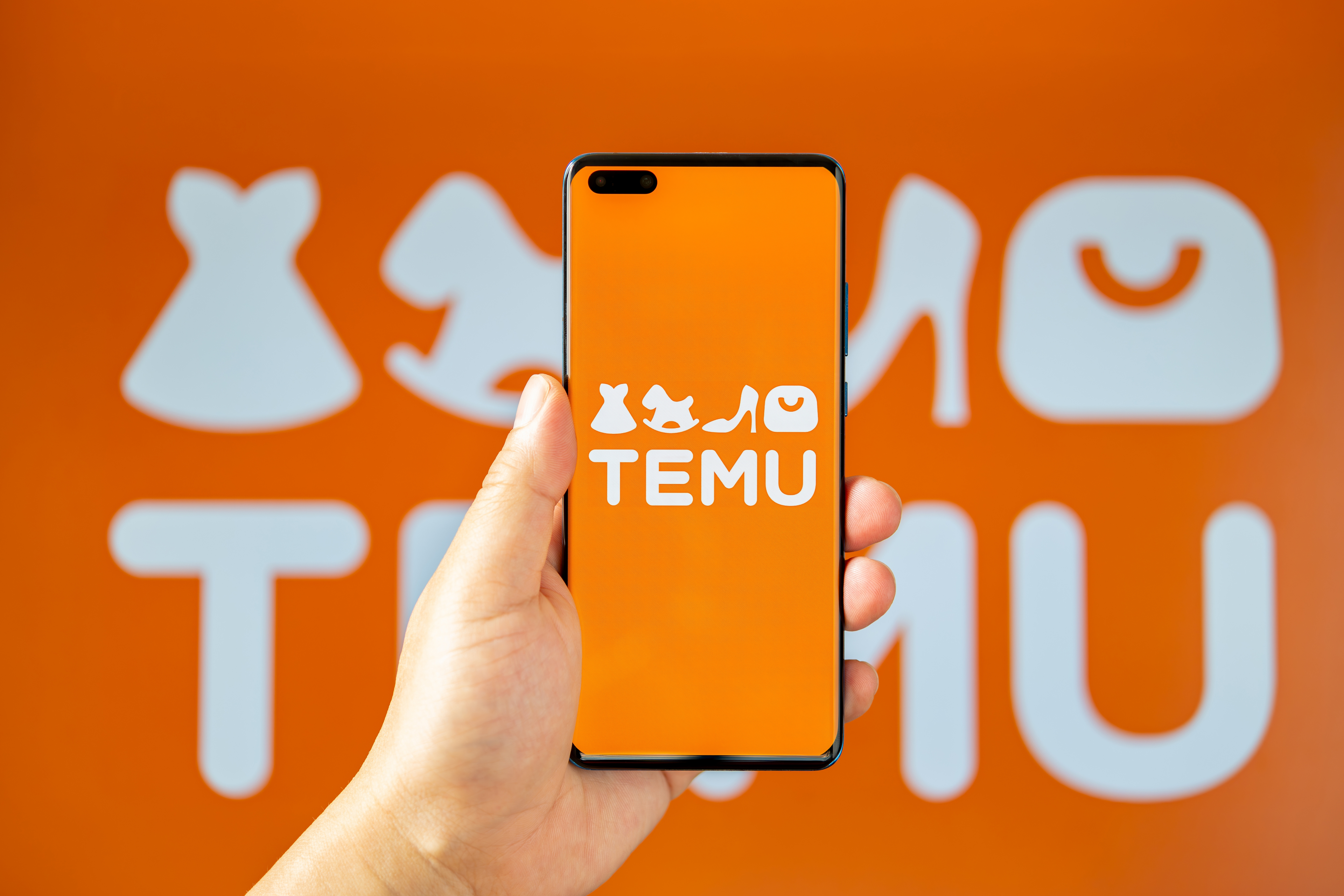 Temu Class Action Lawsuit