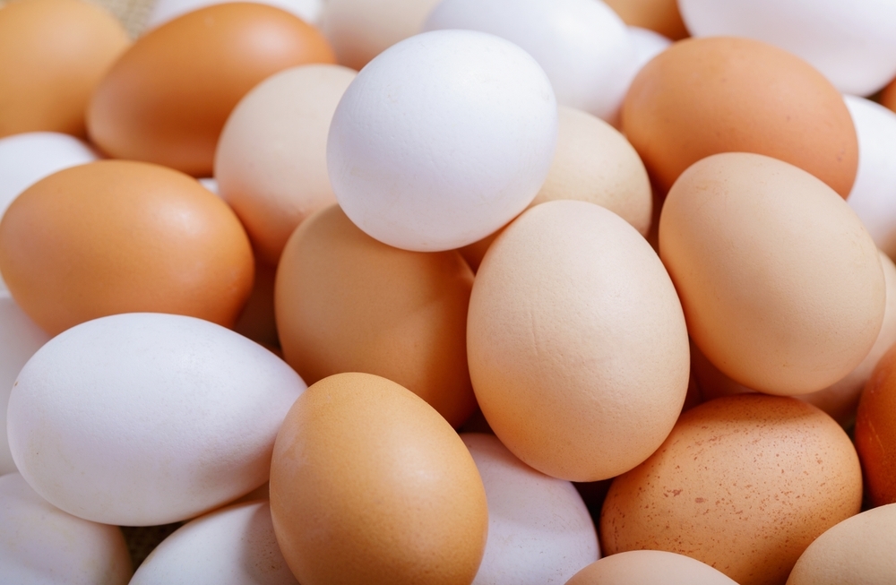 Alderfer Eggs