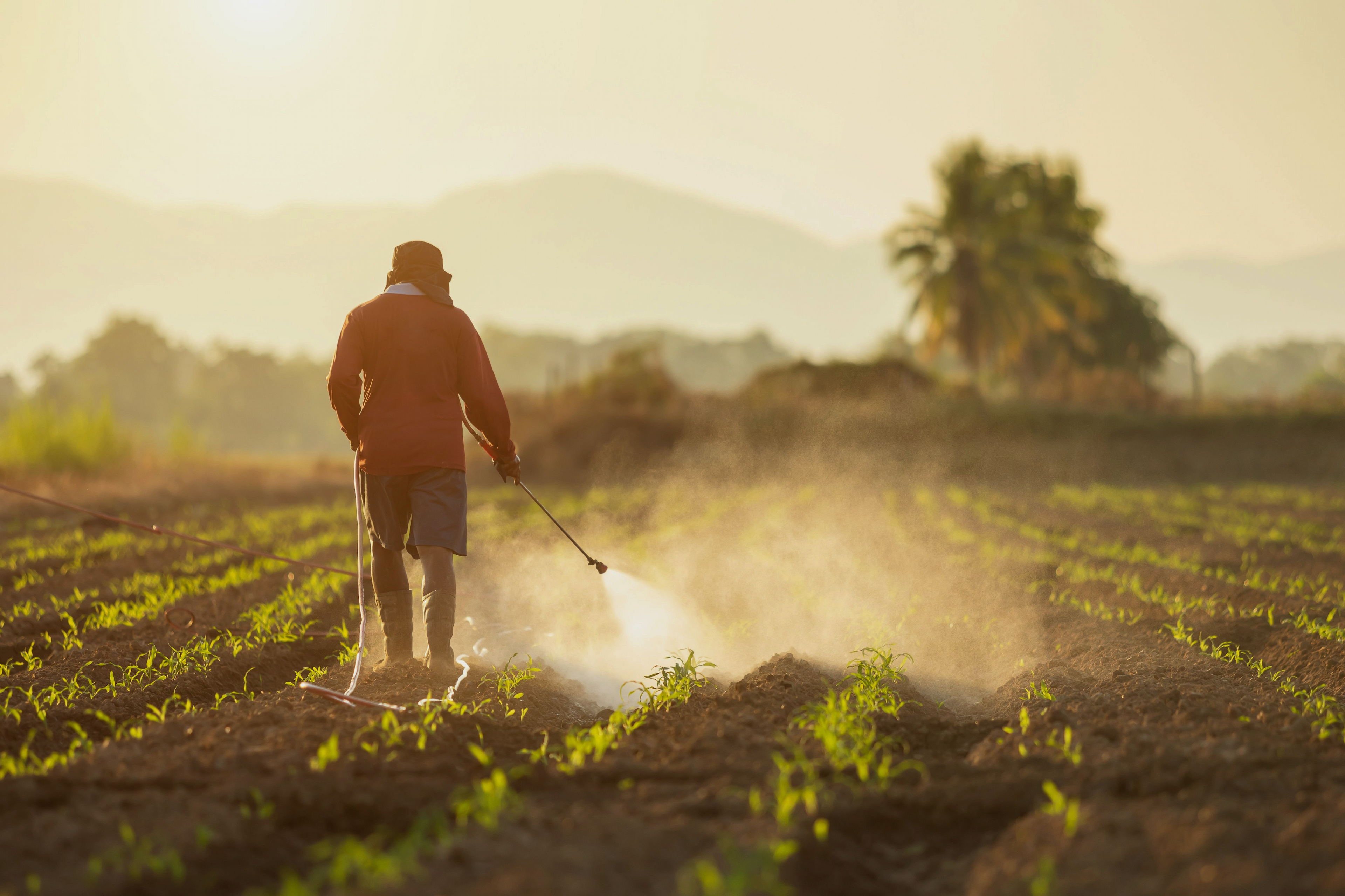 Paraquat lawsuit compensation for Parkinson’s disease claims