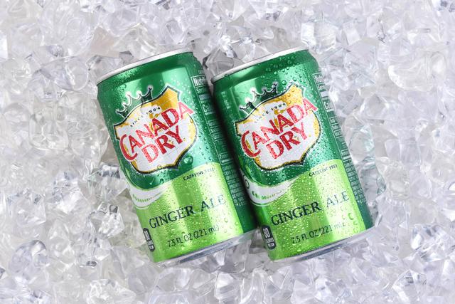 lawsuit against ginger ale