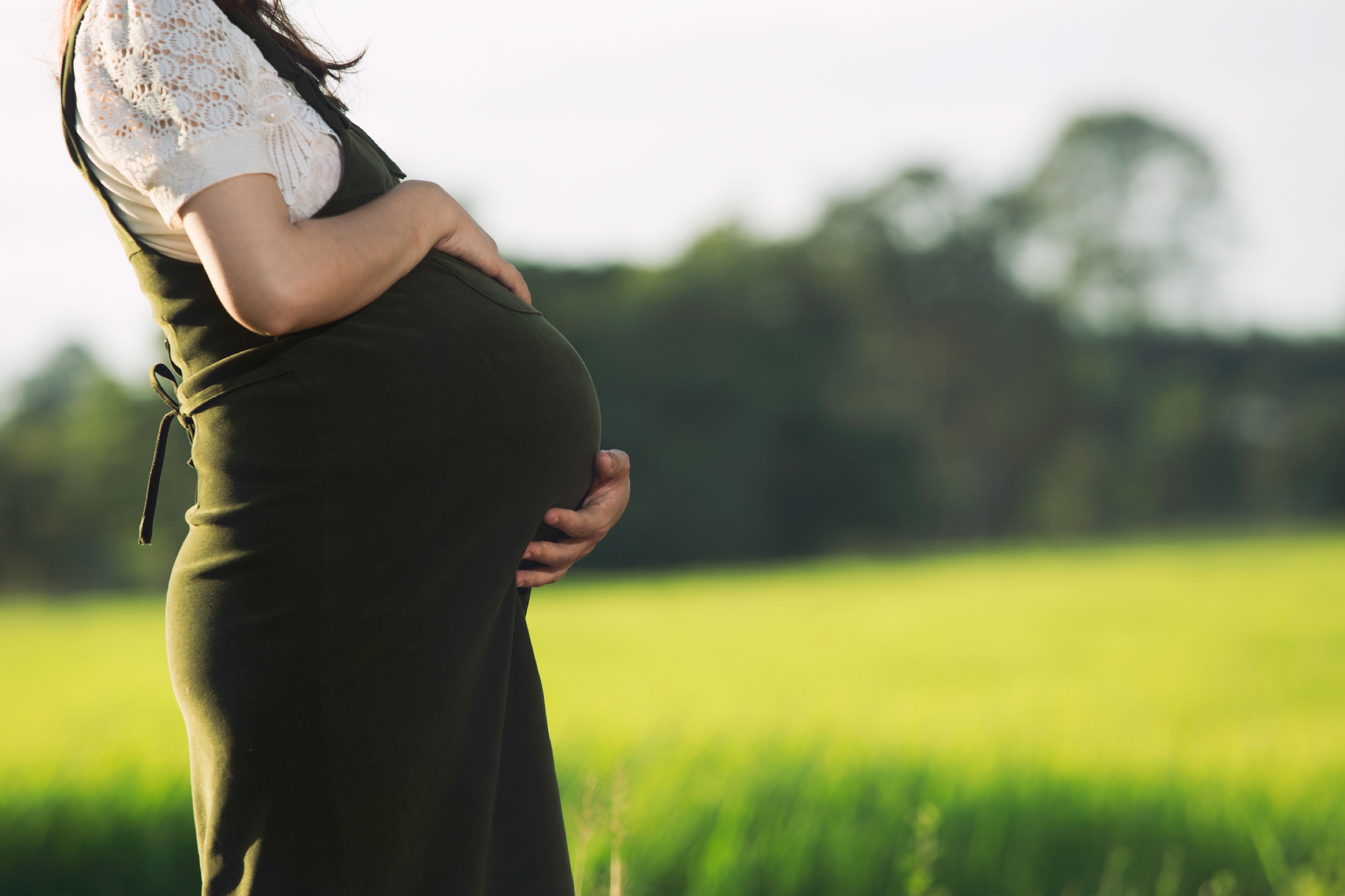 Dacthal Pesticide Lawsuit