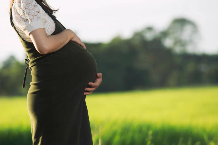 Dacthal Pesticide Lawsuit