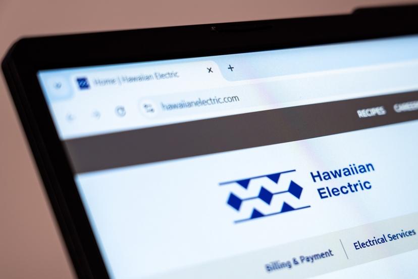 Hawaiian Electric website