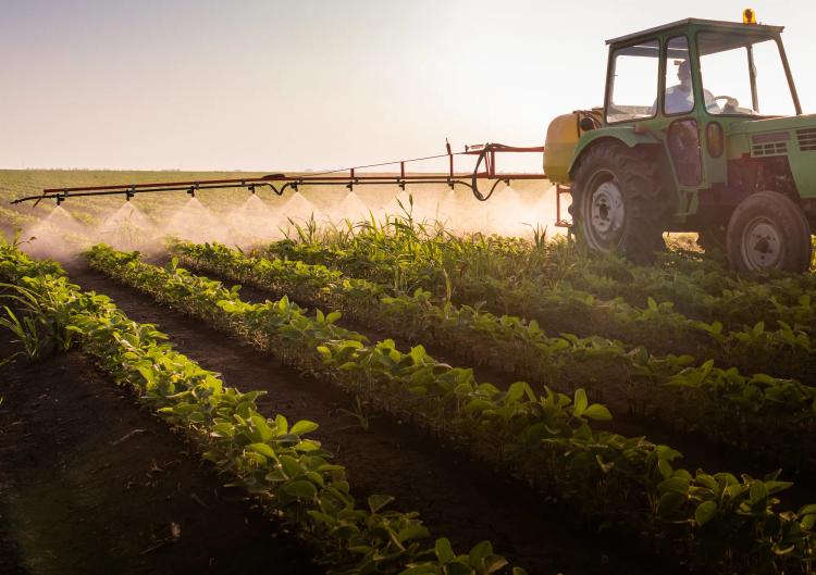 Chloryrifos lawsuit Alt Image