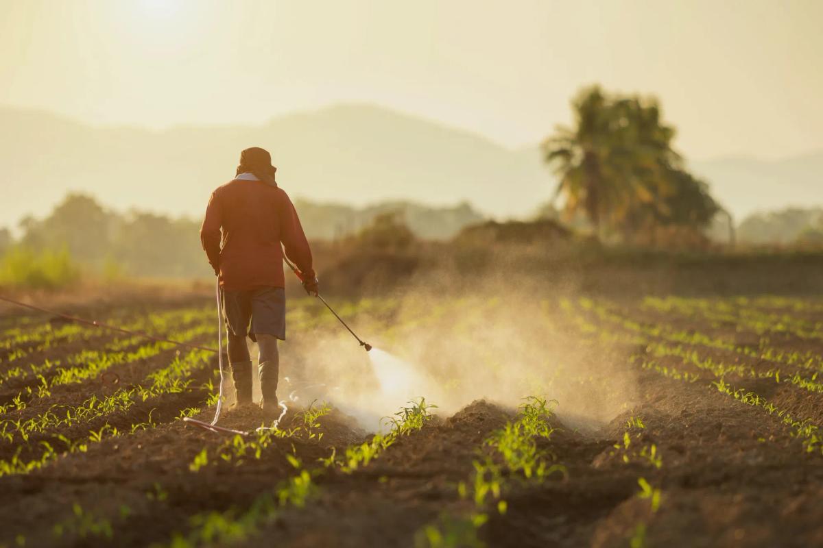 Paraquat lawsuit compensation for Parkinson’s disease claims